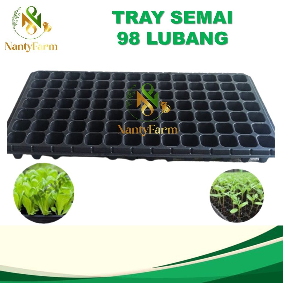 Tray Semai 98 Lubang Traypot Bibit Seedling Tray Bibit - Tray Semai 98 Lubang