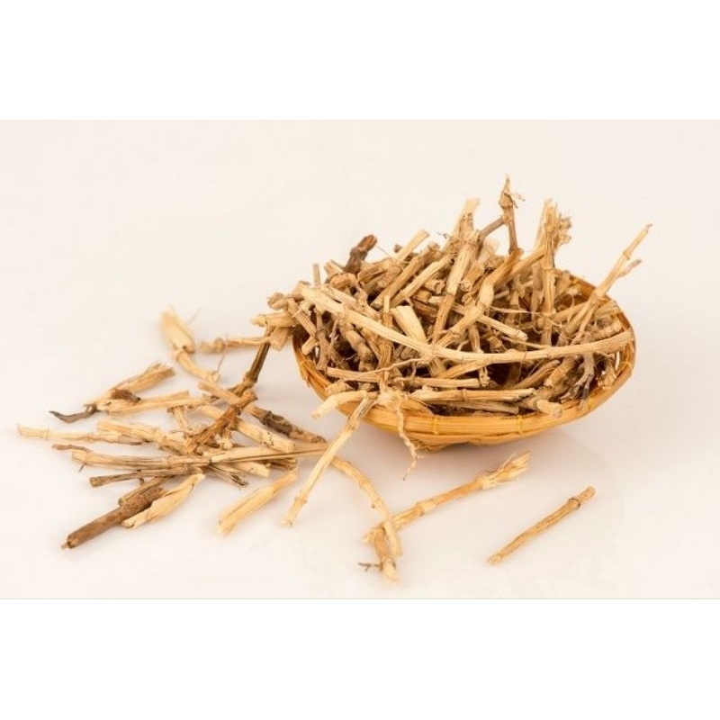 

akar alang alang ilalang segar super fresh 500gr herbal infeksi saluran kemih termurah