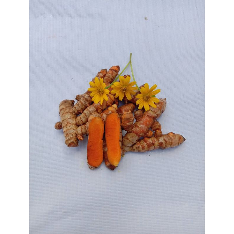 

kunyit fresh 500 grm/1 kg