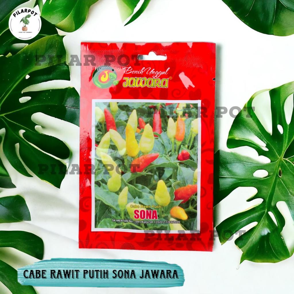 Benih Bibit Cabe Rawit Putih Sona Benih Unggul Jawara - CABE RAWIT PUTIH SONA