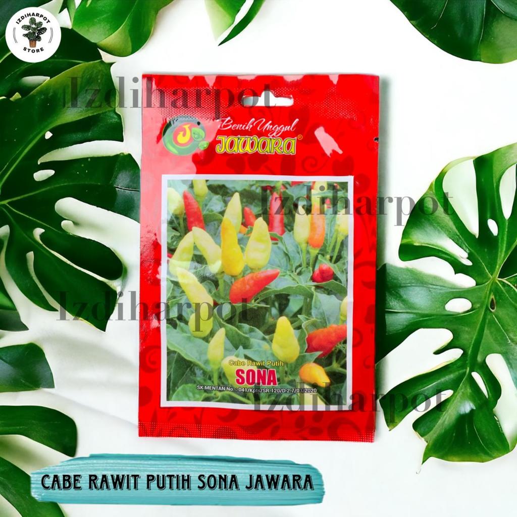 Benih Bibit Cabe Rawit Putih Sona Benih Unggul Jawara - CABE RAWIT PUTIH SONA