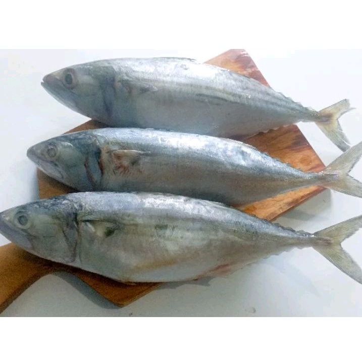 

KEMBUNG BANJAR. 0,5 & 1 Kg, Pal Merah Jak Bar