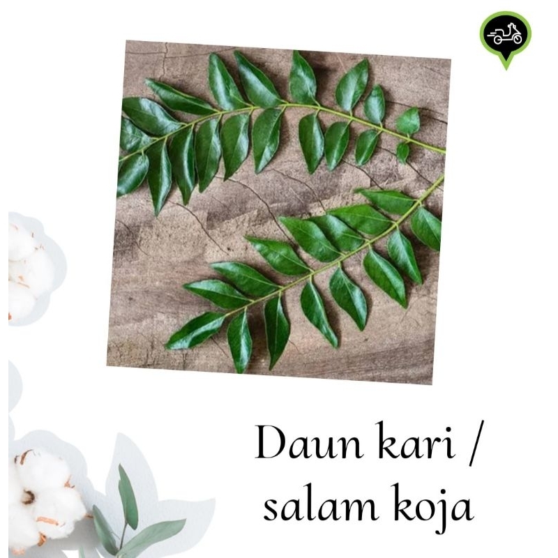 

Daun kari / salam koja