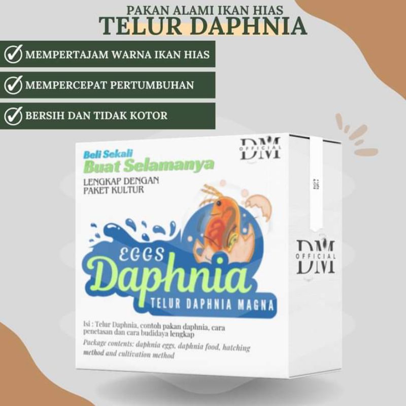 

TELUR DAPHNIA MAGNA