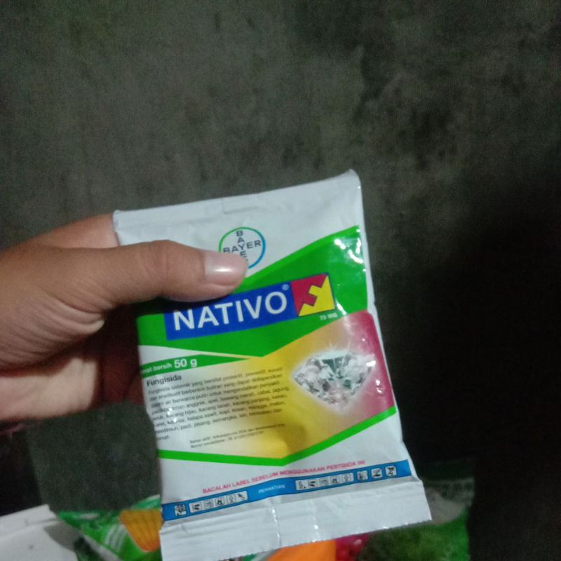 Nativo 50gram fungisida