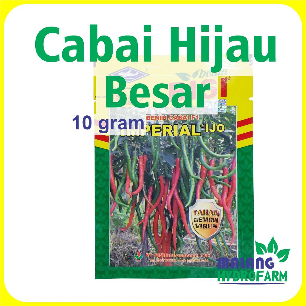 Benih Cabai Hijau Besar Imperial Ijo 10 gram dataran rendah unggul bibit biji sayur pilar f1 sayuran