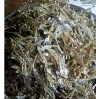 

ikanterrilabuanbajoolehkhaslabuanbajo