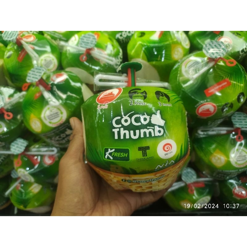 

kelapa muda Coco thumb import 1 buah / kelapa muda import Thailand 1 buah premium