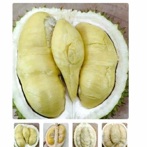 

jual buah durian