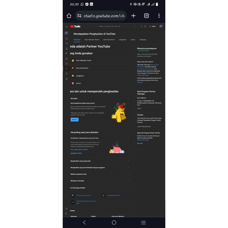 Akun Youtube monetisasi
