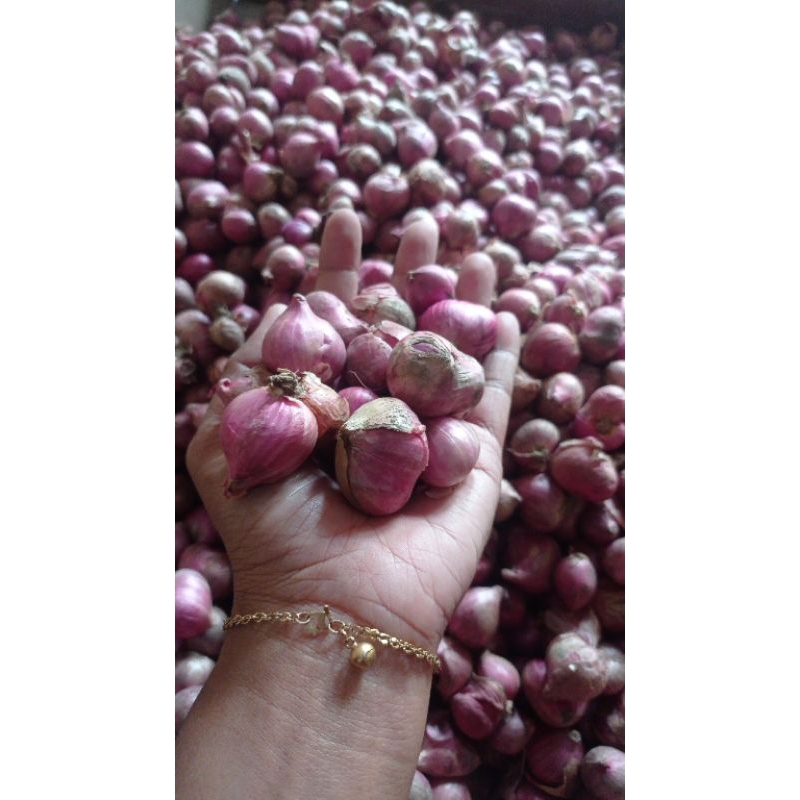 

BAWANG MERAH BERKUALITAS ½KG/BRAMBANG