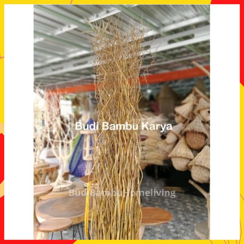 Promo Bambu Ulir Inul Natural Murah | Bambu Ulir Artistik Penghias Sudut | Bunga Hias Bambu Ulir Mur