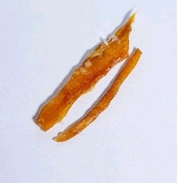 beef tendon urat sapi dehydrate kering snack anabul anjing kucing dog cat cemilan treats treat  g.by