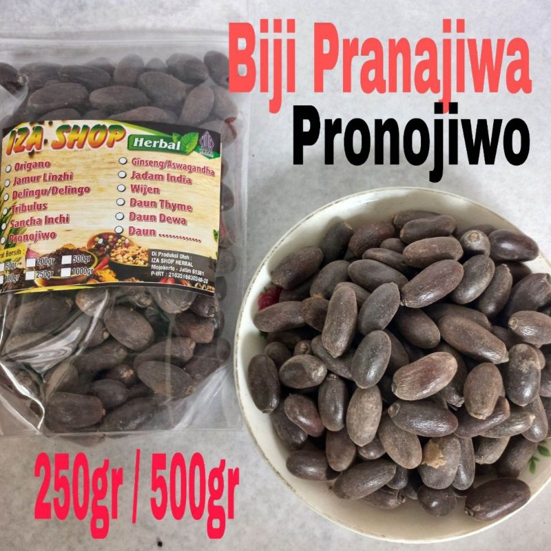 

Biji Pronojiwo Kering/Pranajiwa 500gr