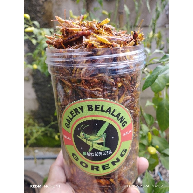 

BELALANG GORENG, BELALANG UTIS TOPLES SONICE BERAT -+220GRAM