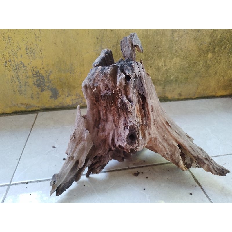 Kayu Aquascape / Hiding cave dll