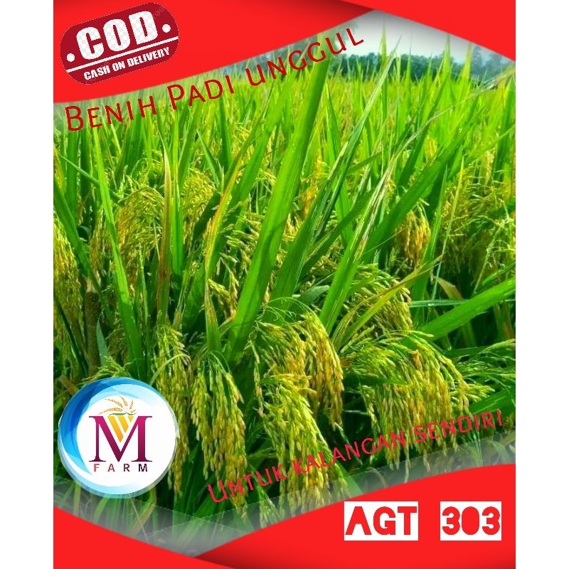 benih padi agt 303 new original 5kg