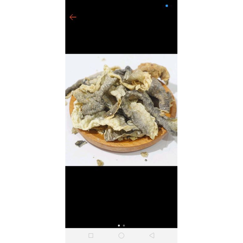 

kerupukikansalmonkulit