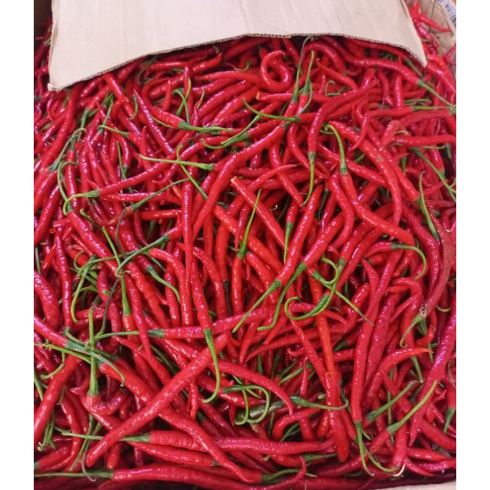 

MEGA SALE cabe merah keriting cabai merah keriting 5 gr