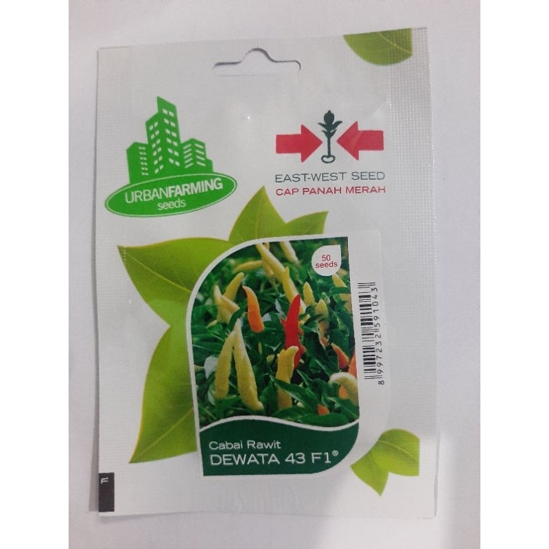 bibit cabe rawit dewata 43 F1 Cabai Rawit Bara Cabai Rawit  Rawita F1 Cabai rawit  Pelita F1 50 seed