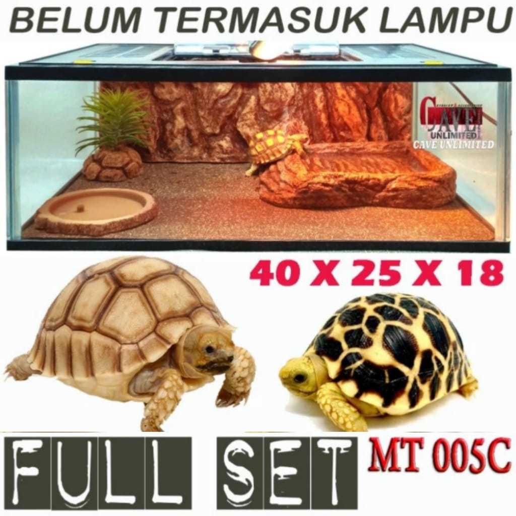 MT005C FULL SET PAKET AKSESORIS KANDANG KURA KURA DARAT TERRARIUM TORTOISE KURA KURA DARAT ALDABRA Y