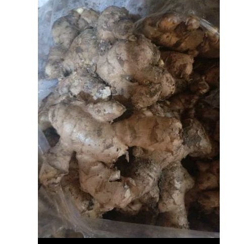 

jahe pak sr 250gram
