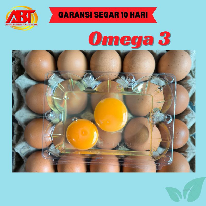 

ABT - Telur Ayam Omega 3 Premium isi 10 Butir