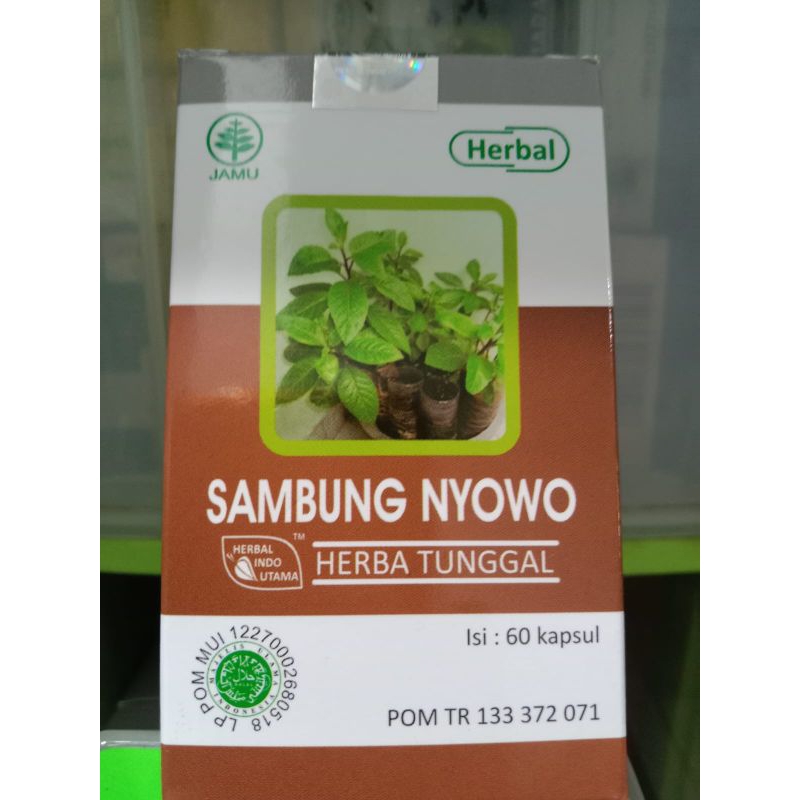 

Kapsul Hiu SAMBUNG NYOWO Obat Herbal 60 Kapsul Original