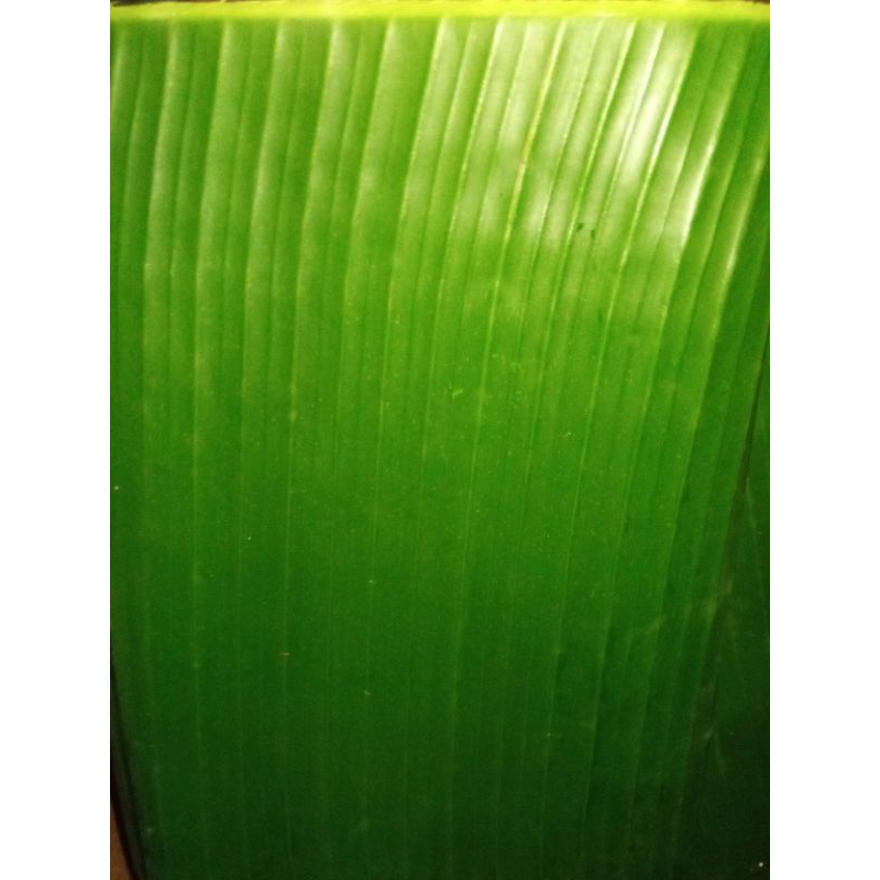

Daun pisang tua/ 1000 gram