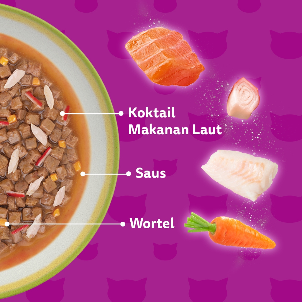 Whiskas Tasty Mix Gravy Makanan Kucing Basah Pouch Junior 70 gr - Isi 14