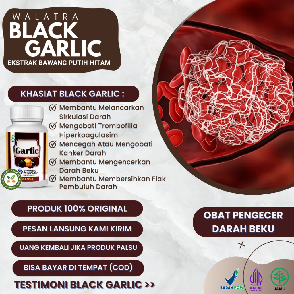 Black Garlic - Obat Pengecer Darah Beku, Pengencer Darah Kental, Gumpalan Darah, Trombofilia Hiperko