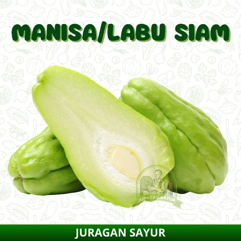 

LABU SIAM | MANISA