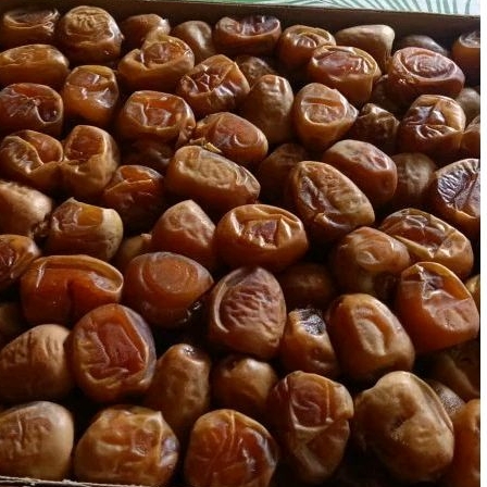 

KURMA SUKKARI KEMASAN 1 KG SUKARI