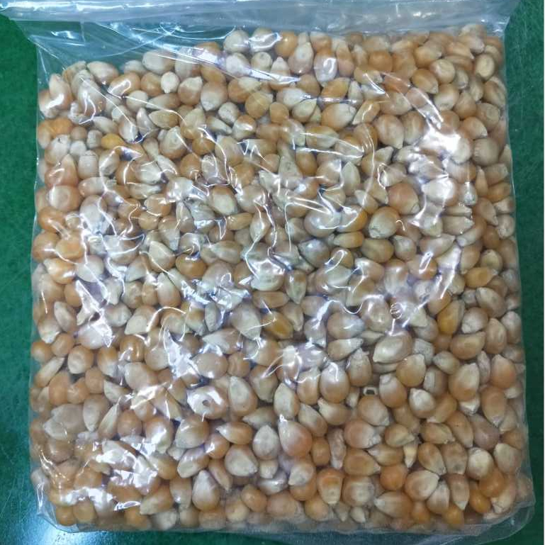 

Jagung Pop Corn Popcorn Mentah | 500 Gram (Repack)