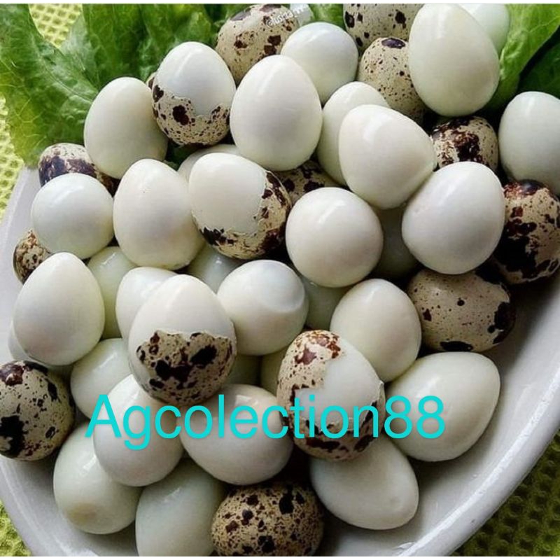 

TELUR PUYUH rebus matang 250gram