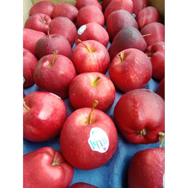 

buah apel Washington