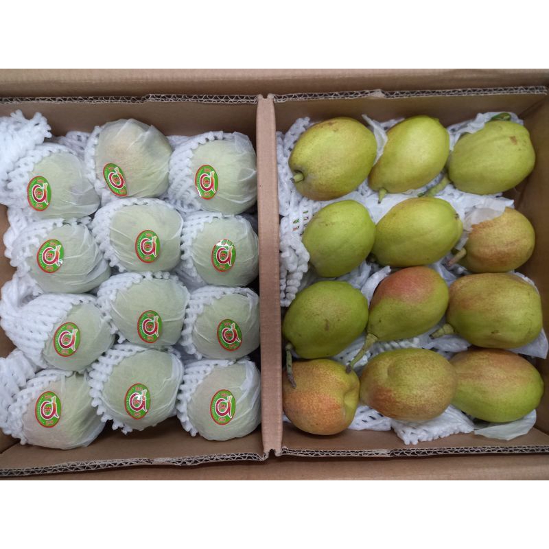 

Pir Xiang Lie