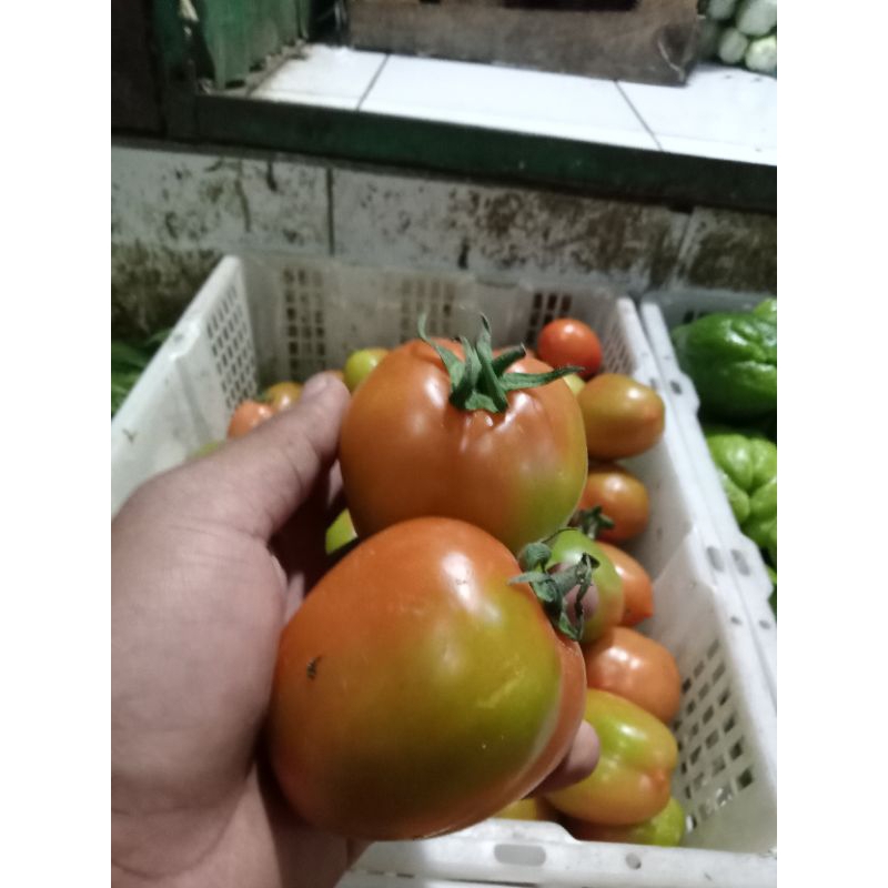 

TOMAT BUAH MANIS 1kg