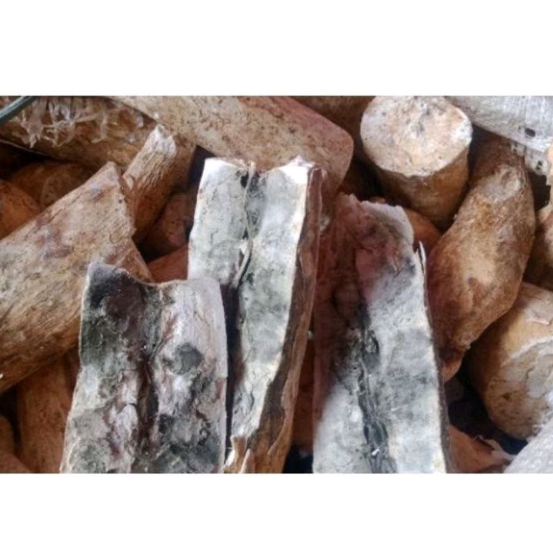 

Gatot Mentah 1kg - Singkong Gatot