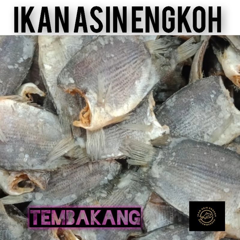 

ikan asin tembakang