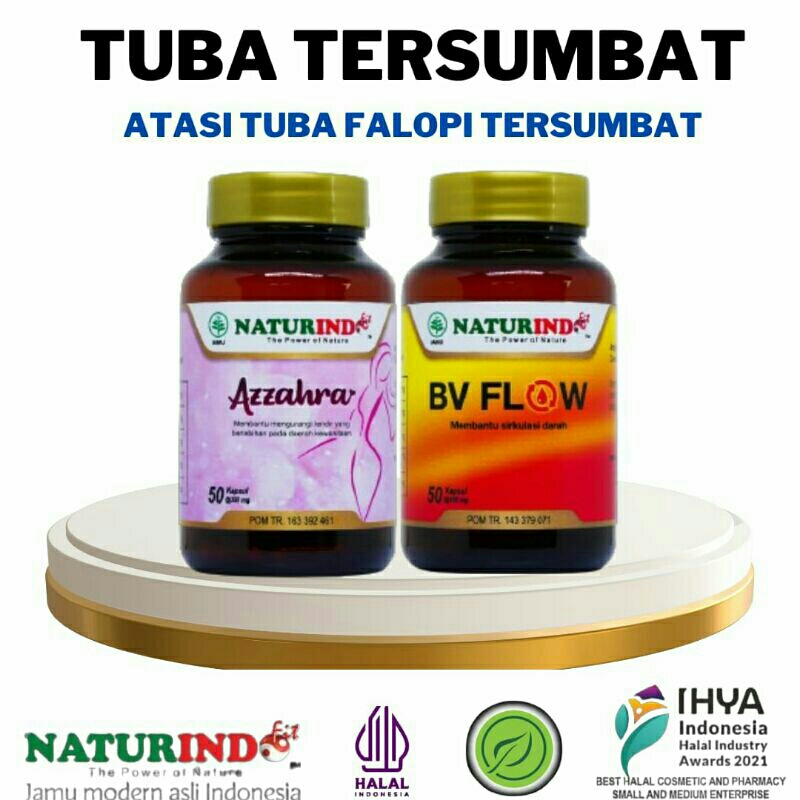 Obat Herbal Tuba Falopi Tersumbat Hidrosalping Surya Naturindo