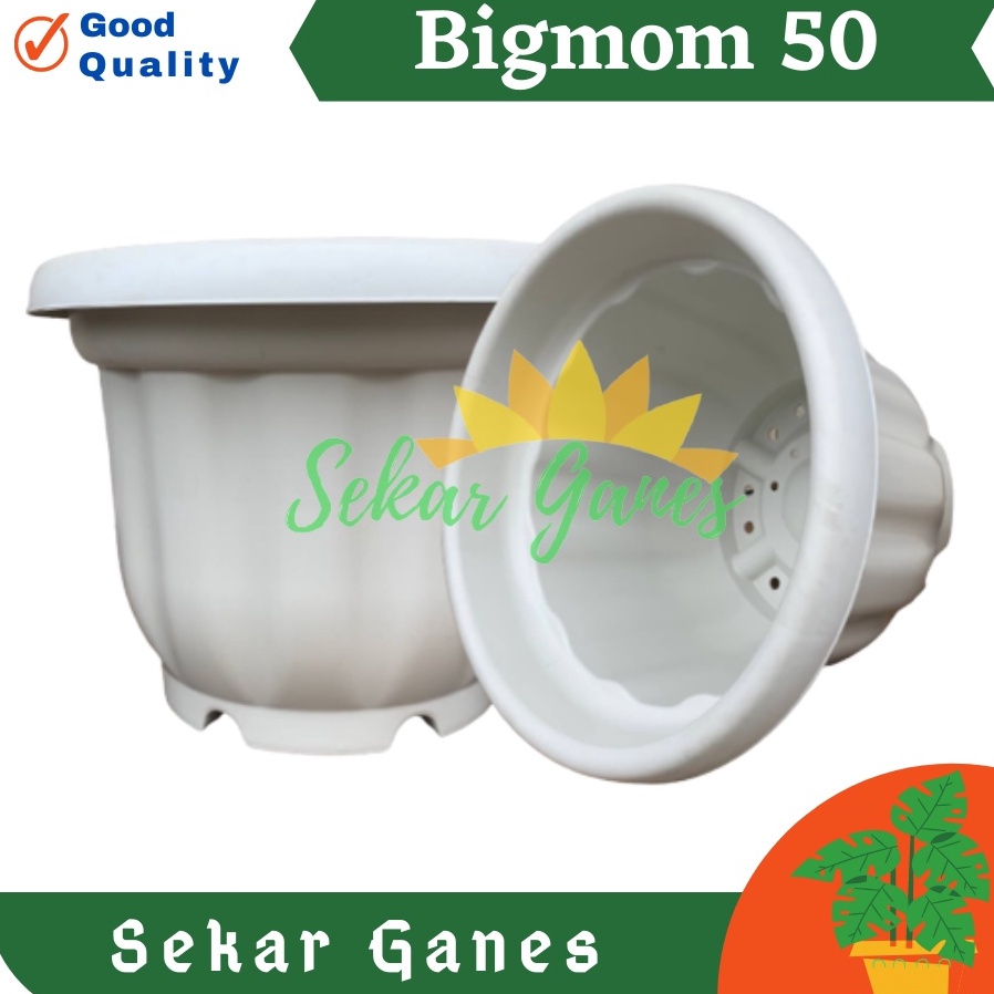 Pot Kuat 55 Putih  Pot Besar Jumbo Murah 5cm 6cm Pot Besar Plastik Bahan Tebal  Pot Bunga Jumbo Puti