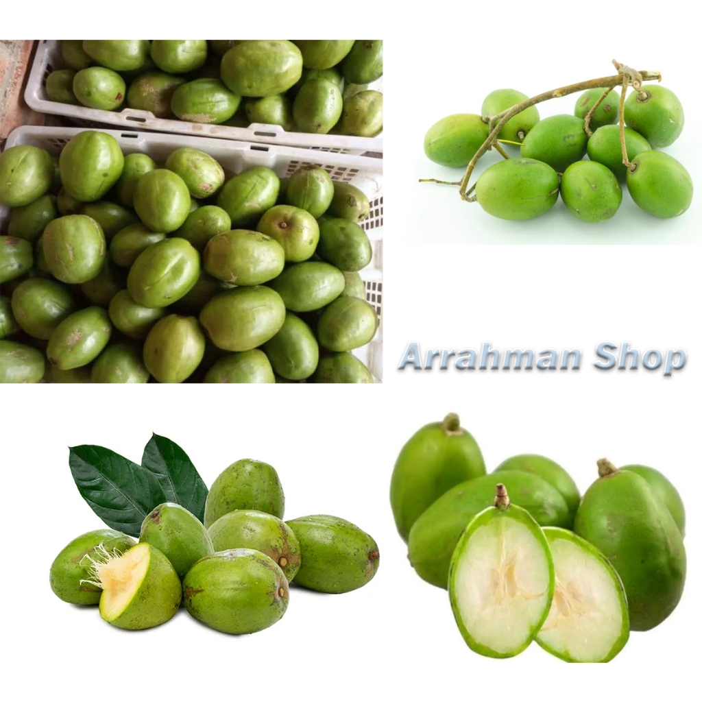 

kedondong - Buah Kedondong rujakan segar fresh buah dodong buah dondong berkualitas super 1 kg