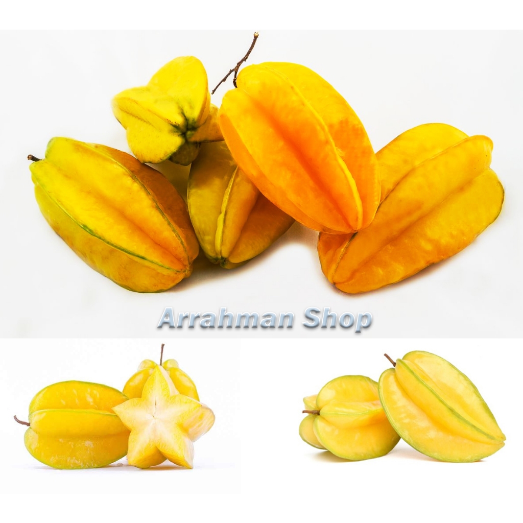 

Belimbing - Buah Belimbing Segar Manis 1 kg