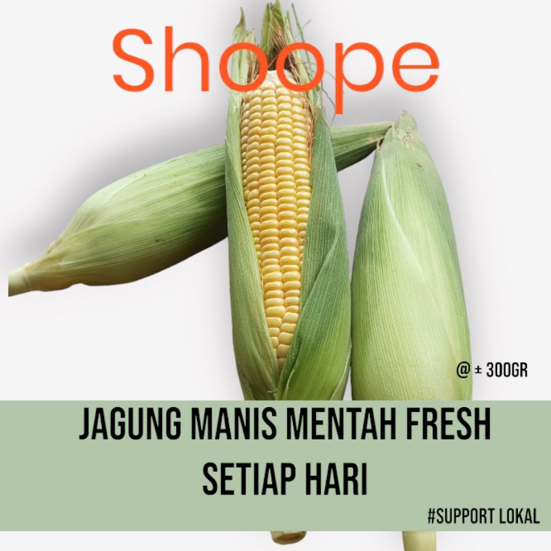 

Jagung Manis Jagung Manis Mentah