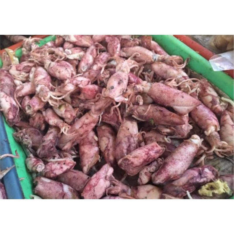 

Cumi Kering Asin