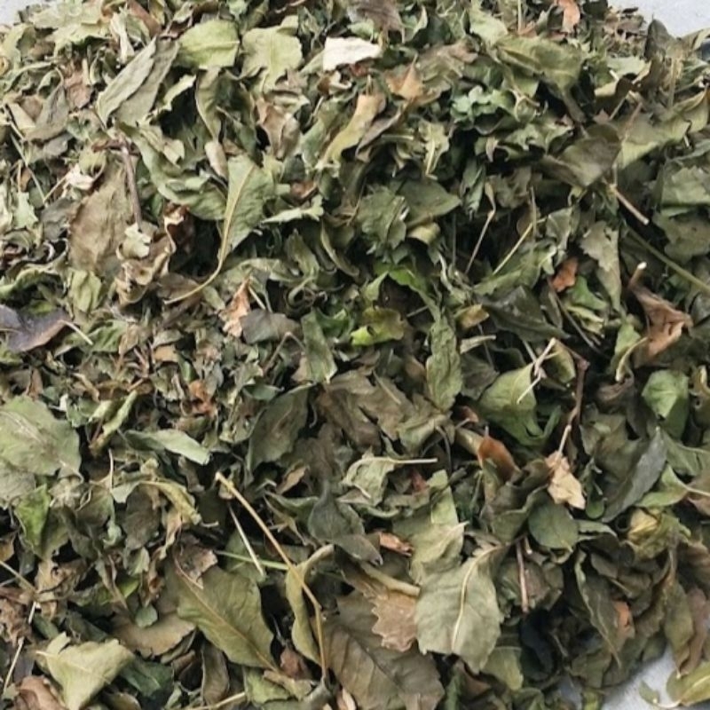 

Daun Mindi Kering Isi Per 250 Gram