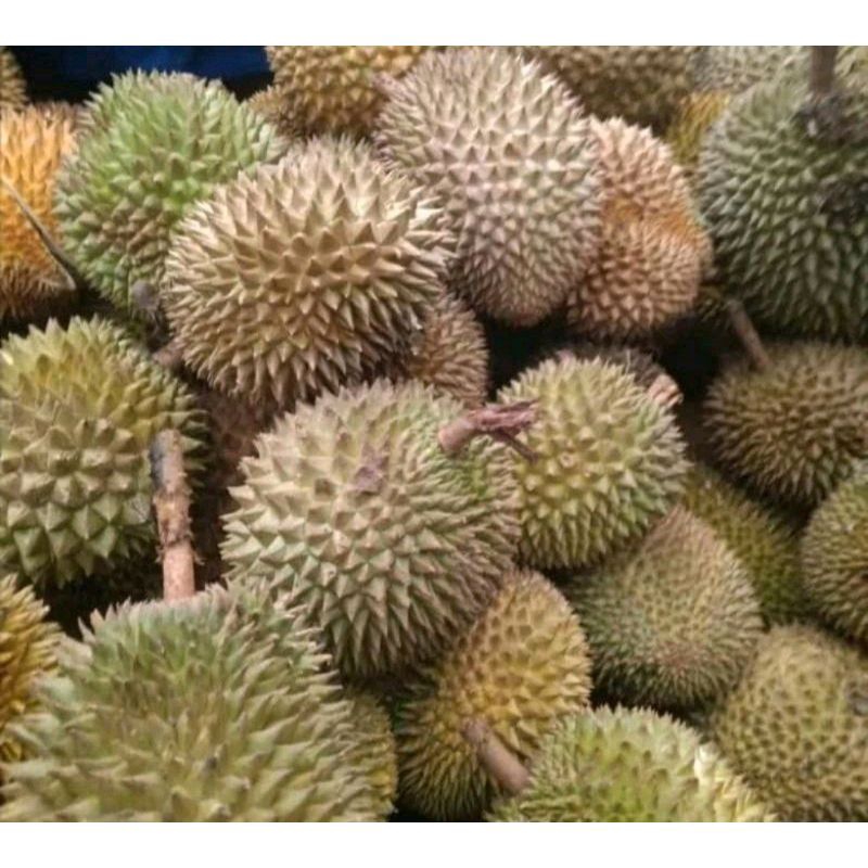 

Durian
