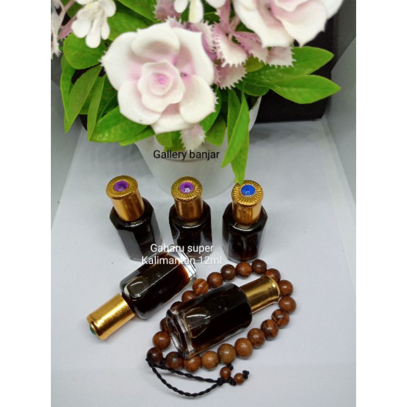 Gaharu Super - Bibit Minyak Wangi Gaharu Kalimantan  Asli Super