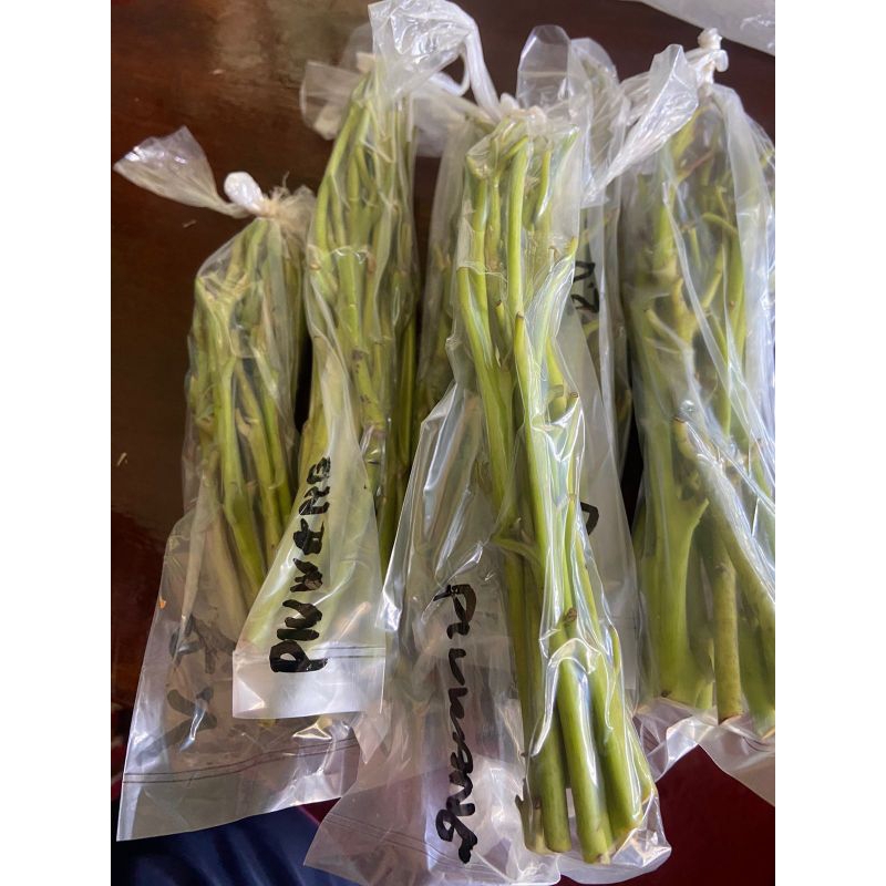 paket 10 potong entres alpukat pluwang. 1kg muat 10 paket